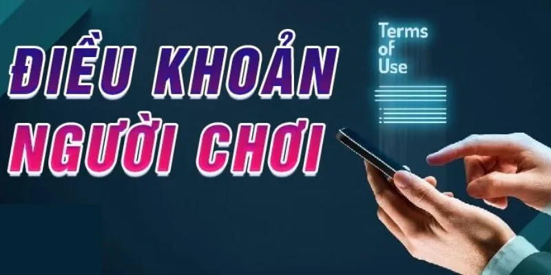 Nội dung điều khoản điều kiện về cá cược